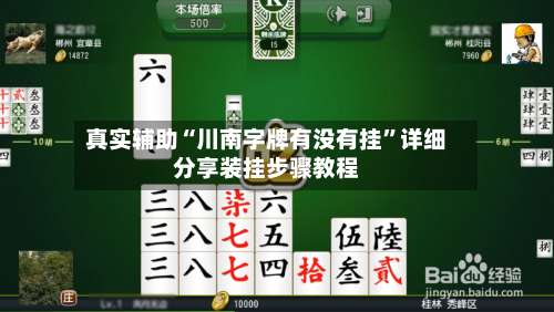 真实辅助“川南字牌有没有挂	”详细分享装挂步骤教程-第1张图片