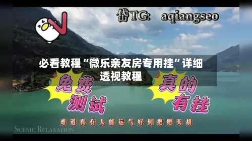 必看教程“微乐亲友房专用挂	”详细透视教程-第1张图片