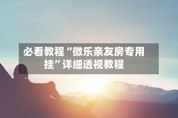 必看教程“微乐亲友房专用挂”详细透视教程-第3张图片