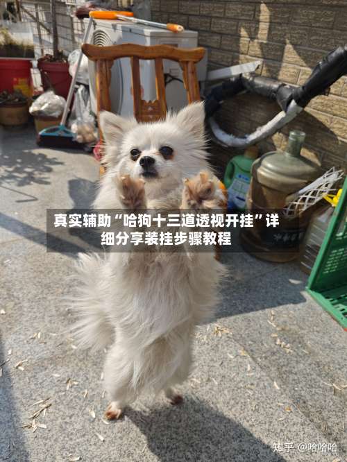 真实辅助“哈狗十三道透视开挂	”详细分享装挂步骤教程-第2张图片