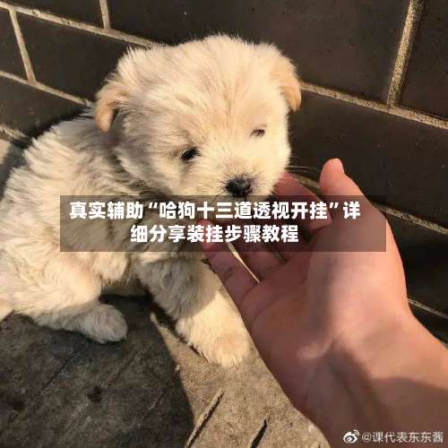 真实辅助“哈狗十三道透视开挂	”详细分享装挂步骤教程-第1张图片
