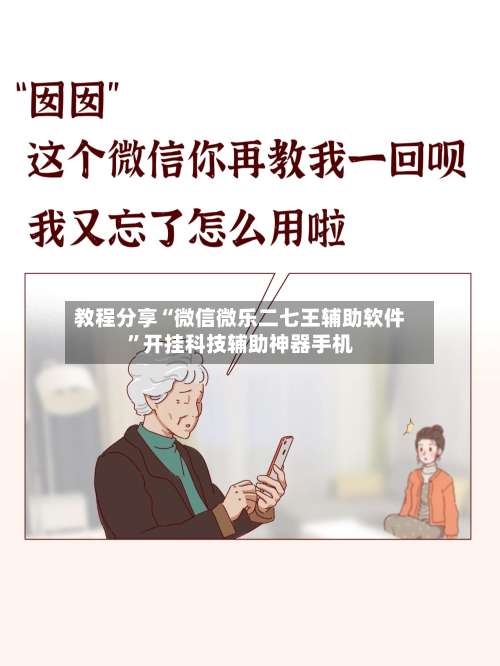 教程分享“微信微乐二七王辅助软件	”开挂科技辅助神器手机-第2张图片