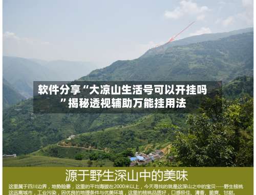 软件分享“大凉山生活号可以开挂吗”揭秘透视辅助万能挂用法-第1张图片