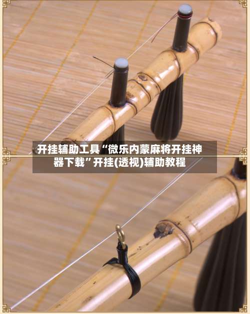开挂辅助工具“微乐内蒙麻将开挂神器下载	”开挂(透视)辅助教程-第3张图片