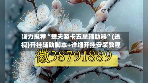 强力推荐“楚天游卡五星辅助器”(透视)开挂辅助脚本+详细开挂安装教程-第3张图片