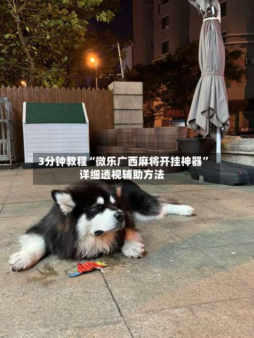 3分钟教程“微乐广西麻将开挂神器	”详细透视辅助方法-第2张图片