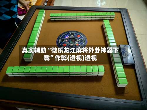 真实辅助“微乐龙江麻将外卦神器下载”作弊(透视)透视-第2张图片