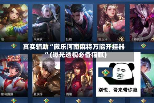 真实辅助“微乐河南麻将万能开挂器”(曝光透视必备猫腻)-第3张图片