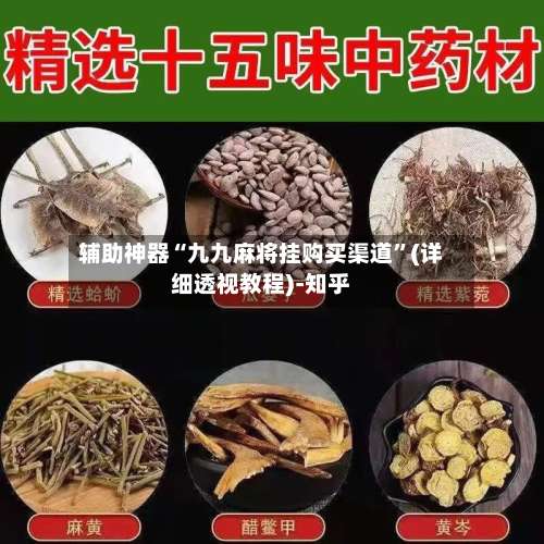 辅助神器“九九麻将挂购买渠道”(详细透视教程)-知乎-第3张图片