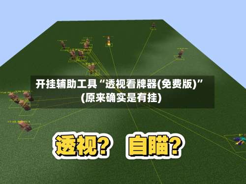 开挂辅助工具“透视看牌器(免费版)”(原来确实是有挂)-第3张图片