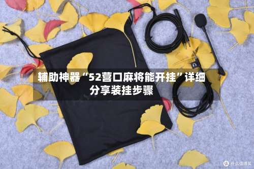 辅助神器“52营口麻将能开挂”详细分享装挂步骤-第2张图片