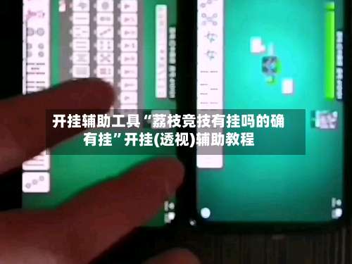 开挂辅助工具“荔枝竞技有挂吗的确有挂”开挂(透视)辅助教程-第1张图片