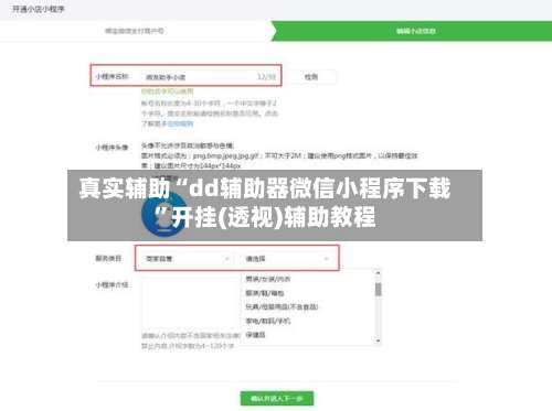 真实辅助“dd辅助器微信小程序下载	”开挂(透视)辅助教程-第2张图片