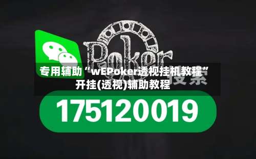 专用辅助“wEPoker透视挂机教程”开挂(透视)辅助教程-第3张图片