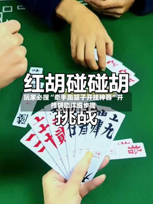 玩家必搜“牵手跑胡子开挂神器”开挂辅助详细步骤-第3张图片