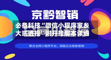 必备科技“微信小程序家乡大贰透视	”附开挂脚本详细-第1张图片