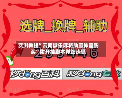实测教程	”云南微乐麻将助赢神器购买”附开挂脚本详细步骤-第2张图片