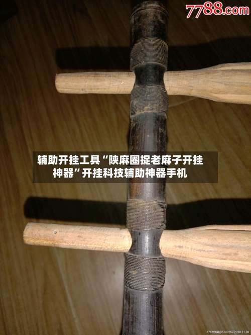 辅助开挂工具“陕麻圈捉老麻子开挂神器”开挂科技辅助神器手机-第2张图片