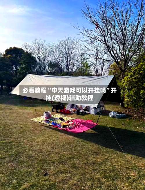 必看教程“中天游戏可以开挂吗”开挂(透视)辅助教程-第2张图片