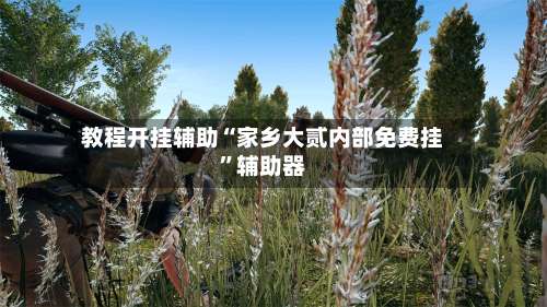 教程开挂辅助“家乡大贰内部免费挂”辅助器-第3张图片