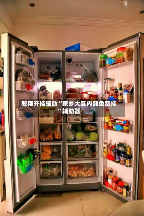 教程开挂辅助“家乡大贰内部免费挂	”辅助器-第2张图片