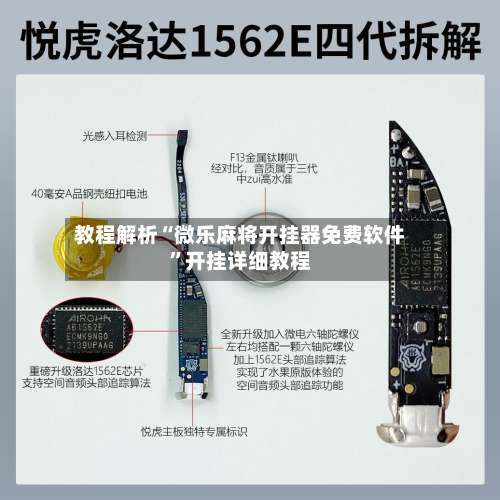 教程解析“微乐麻将开挂器免费软件	”开挂详细教程-第3张图片