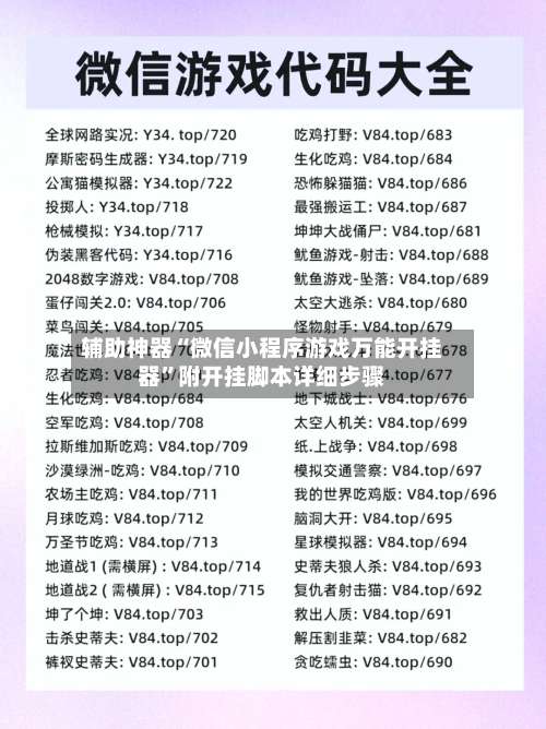 辅助神器“微信小程序游戏万能开挂器”附开挂脚本详细步骤-第3张图片