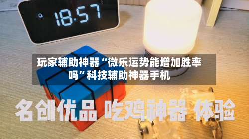 玩家辅助神器“微乐运势能增加胜率吗	”科技辅助神器手机-第2张图片