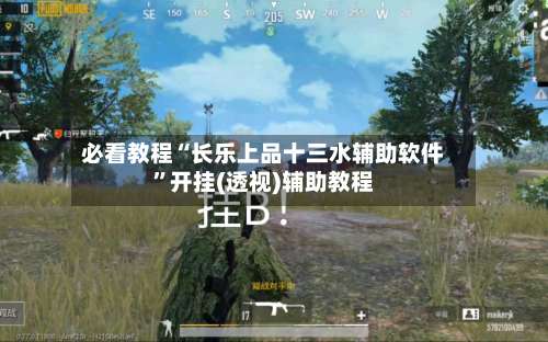 必看教程“长乐上品十三水辅助软件	”开挂(透视)辅助教程-第2张图片