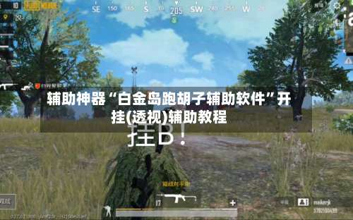 辅助神器“白金岛跑胡子辅助软件	”开挂(透视)辅助教程-第1张图片