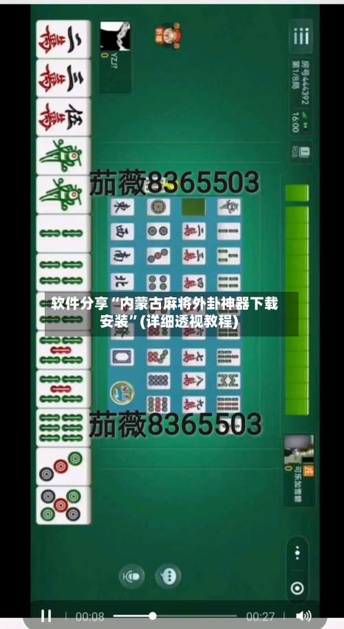 软件分享“内蒙古麻将外卦神器下载安装”(详细透视教程)-第2张图片