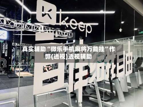 真实辅助“微乐手机麻将万能挂”作弊(透视)透视辅助-第3张图片