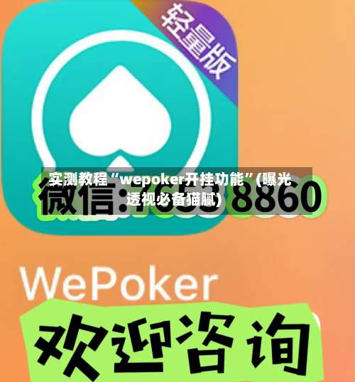 实测教程“wepoker开挂功能		”(曝光透视必备猫腻)-第1张图片