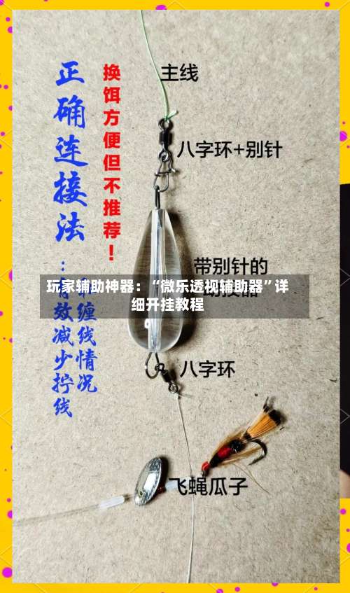 玩家辅助神器：“微乐透视辅助器		”详细开挂教程-第1张图片