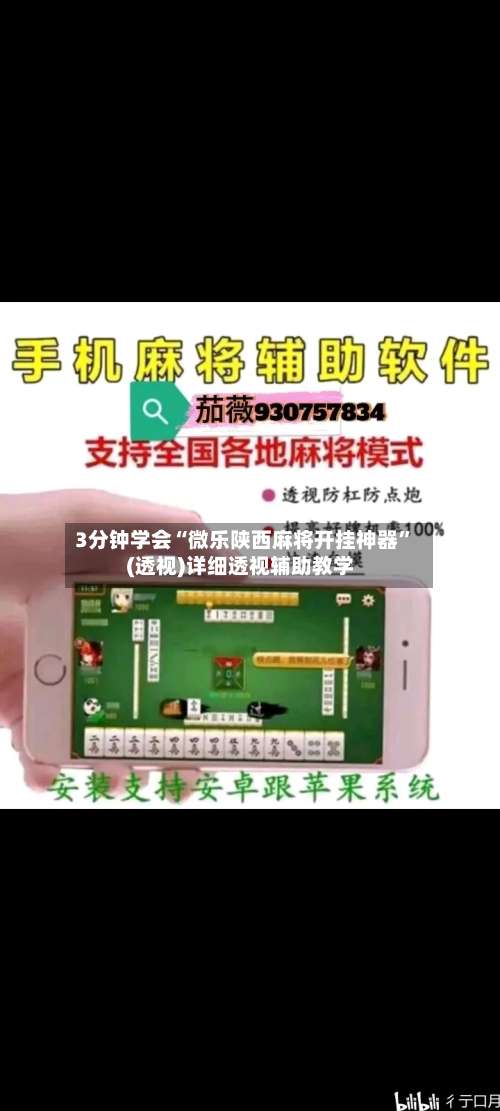 3分钟学会“微乐陕西麻将开挂神器”(透视)详细透视辅助教学-第2张图片