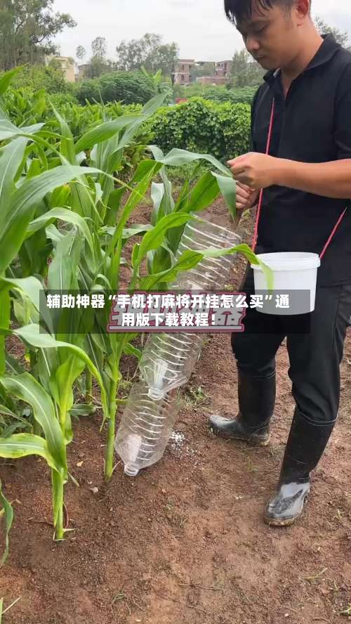 辅助神器“手机打麻将开挂怎么买	”通用版下载教程！-第1张图片