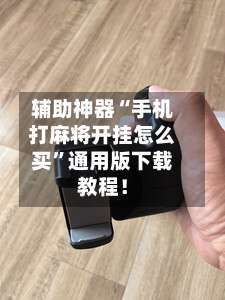 辅助神器“手机打麻将开挂怎么买”通用版下载教程！-第2张图片