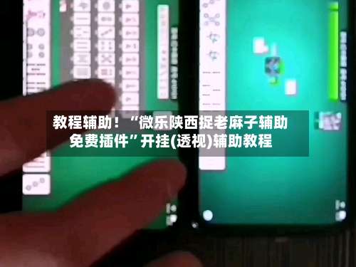 教程辅助！“微乐陕西捉老麻子辅助免费插件”开挂(透视)辅助教程-第1张图片