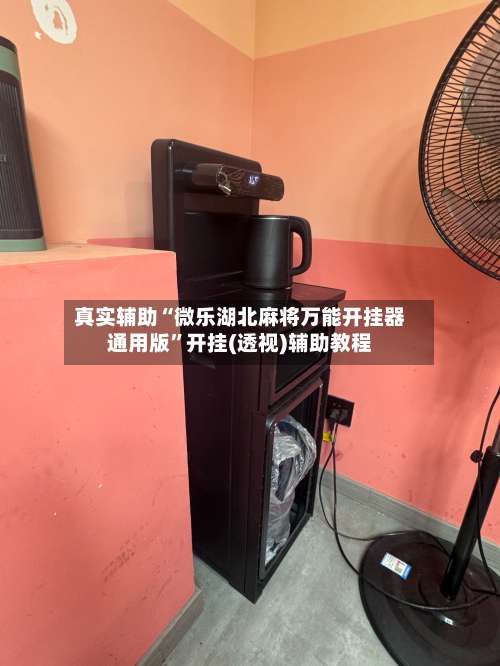 真实辅助“微乐湖北麻将万能开挂器通用版		”开挂(透视)辅助教程-第1张图片