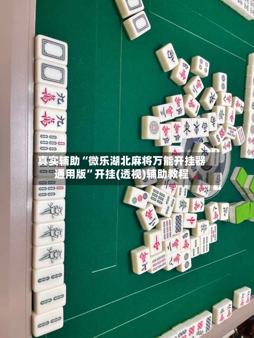 真实辅助“微乐湖北麻将万能开挂器通用版”开挂(透视)辅助教程-第3张图片