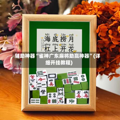 辅助神器“雀神广东麻将助赢神器	”(详细开挂教程)-第2张图片