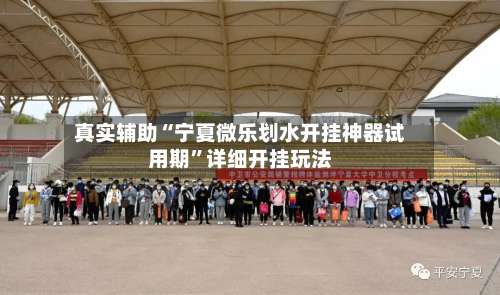 真实辅助“宁夏微乐划水开挂神器试用期	”详细开挂玩法-第1张图片