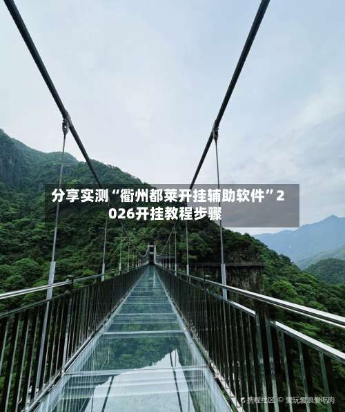 分享实测“衢州都莱开挂辅助软件”2026开挂教程步骤-第3张图片