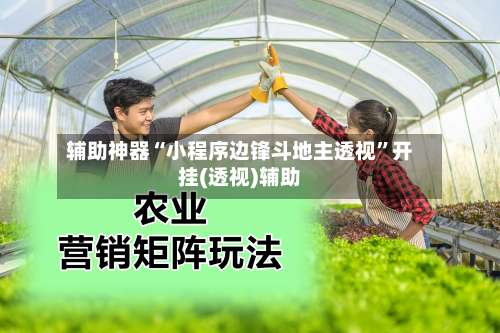 辅助神器“小程序边锋斗地主透视”开挂(透视)辅助-第1张图片