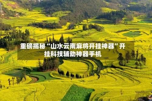 重磅揭秘“山水云南麻将开挂神器	”开挂科技辅助神器手机-第2张图片