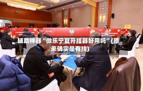 辅助神器“微乐宁夏开挂器好用吗”(原来确实是有挂)-第2张图片