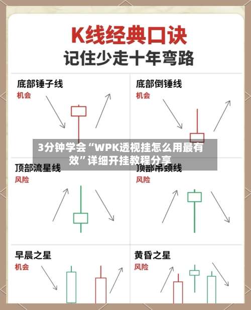 3分钟学会“WPK透视挂怎么用最有效	”详细开挂教程分享-第1张图片