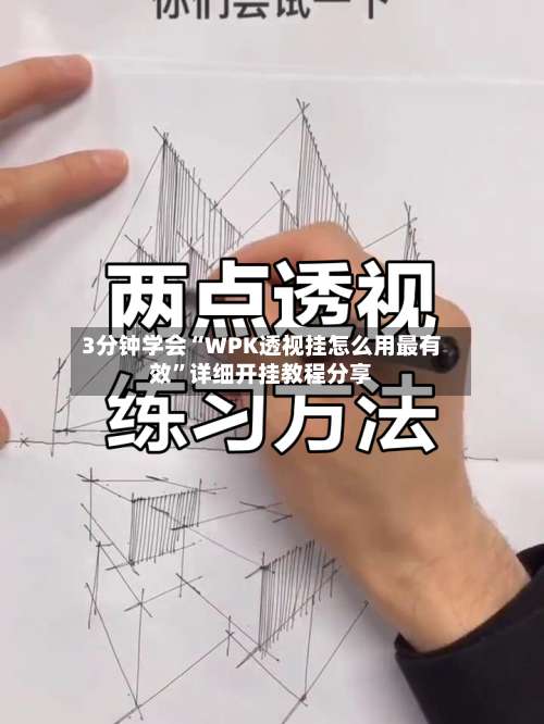 3分钟学会“WPK透视挂怎么用最有效”详细开挂教程分享-第3张图片