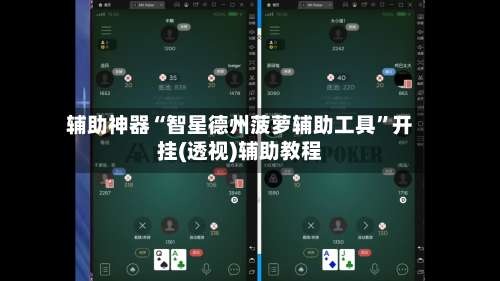 辅助神器“智星德州菠萝辅助工具”开挂(透视)辅助教程-第1张图片