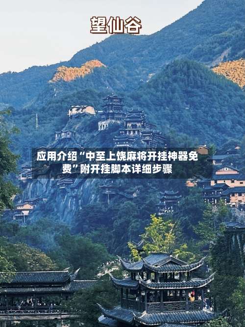 应用介绍“中至上饶麻将开挂神器免费”附开挂脚本详细步骤-第3张图片